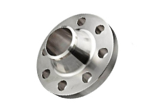 SS Flanges